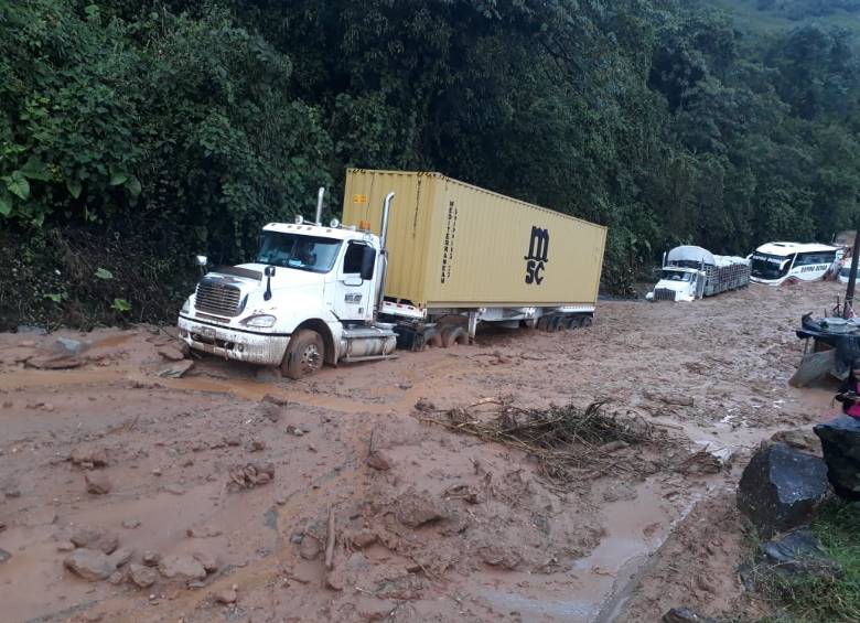 Via Llanos de Cuiva - Tarazá. Foto: Guardianes Antioquia