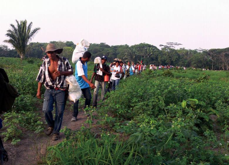 De acuerdo con las cifras oficiales, en dos años se han devuelto más de 84.516 hectáreas a más de 11.401 personas. FOTO COLPRENSA