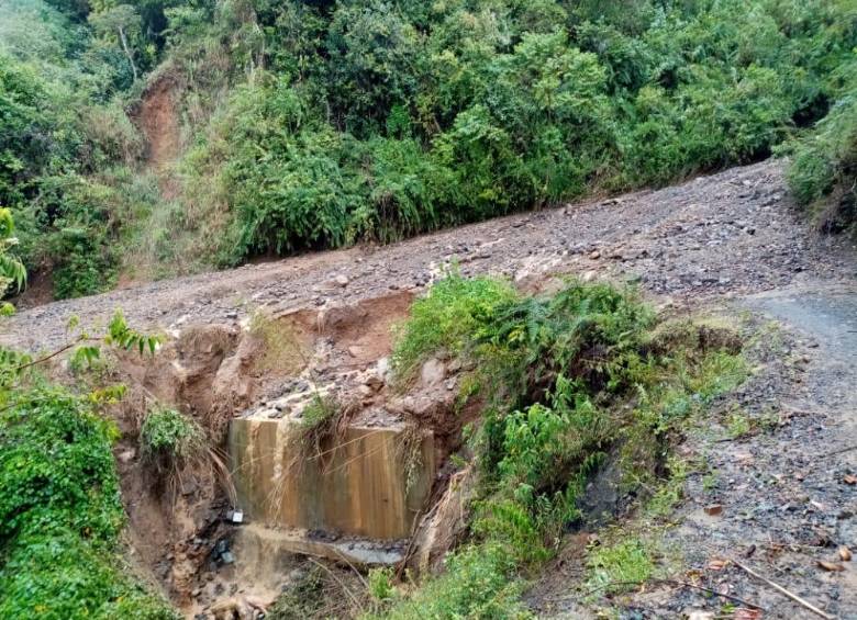 Cinco municipios del departamento resultaron afectados por los movimientos de tierra. FOTO CORTESÍA DAPARD