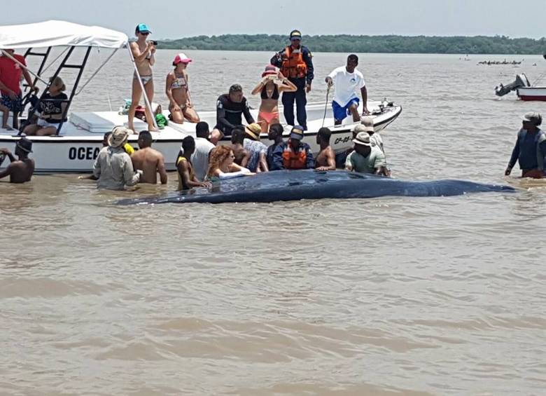 FOTO CORTESÍA ARMADA