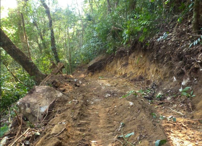 La denuncia fue hecha por la Fundación ProAves la cual dio a conocer que máquinas excavadoras abren caminos, en comprensión rural del corregimiento de Minca. FOTO CORTESÍA