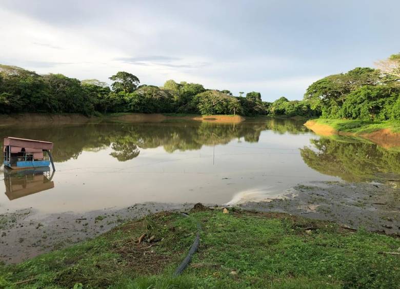 Con el dragado, la represa que surte de agua a Arboletes volvió a operar, aunque no en un cien por ciento de su capacidad. FOTO CORTESÍA DAPARD