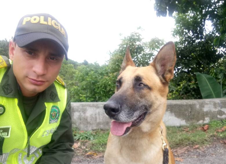 Spike junto a su guía canino, el patrullero John Colmenares. FOTOS: cortesía de Policía Antioquia.