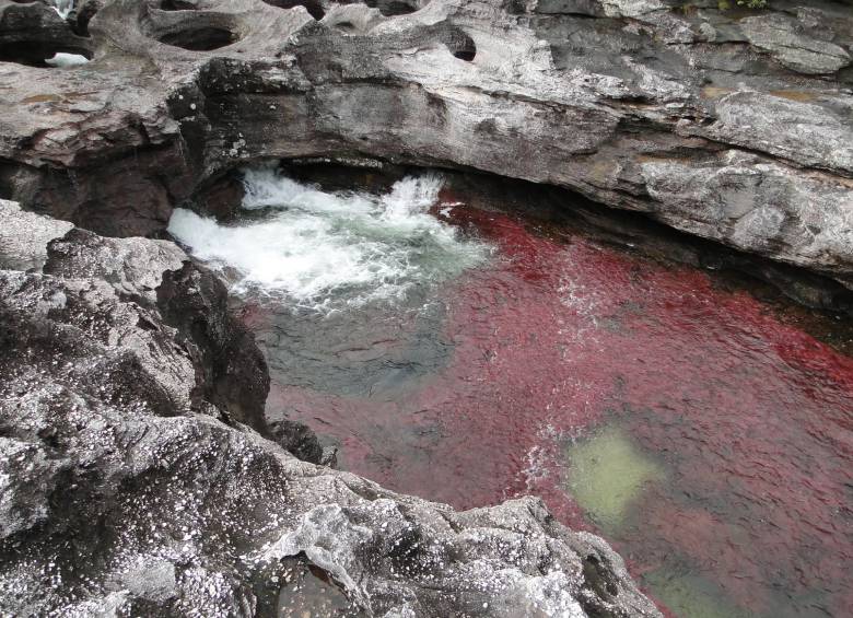 Fernando Iregui, director de la Anla, garantizó que la exploración en la Serranía de la Macarena no afectará a Caño Cristales. FOTO COLPRENSA