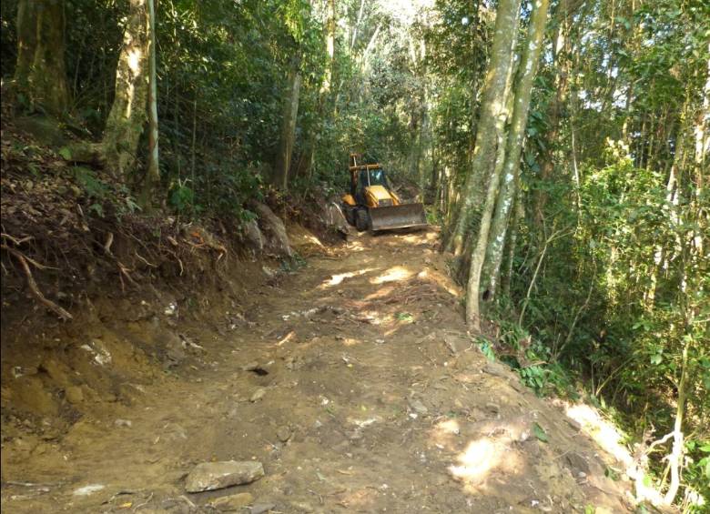 La denuncia fue hecha por la Fundación ProAves la cual dio a conocer que máquinas excavadoras abren caminos, en comprensión rural del corregimiento de Minca. FOTO CORTESÍA