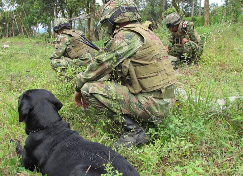 Misión de la OEA y Defensoría quedan en medio de ataque a Ejército en Cauca. Foto: Archivo Colprensa
