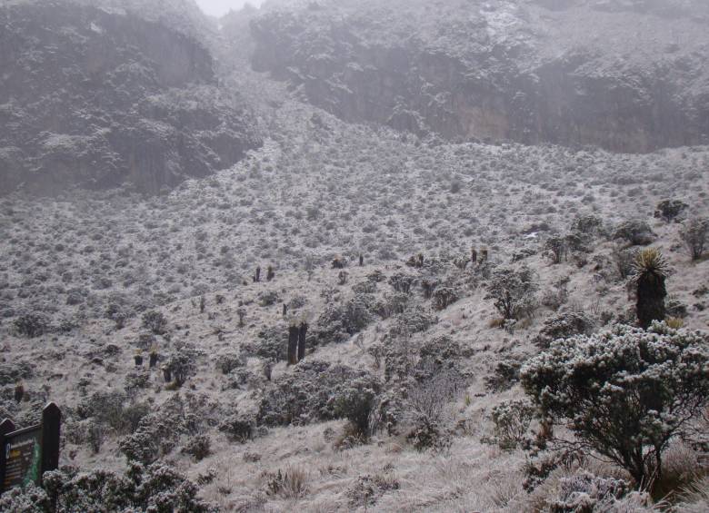 Volvió a caer nieve en el Parque Nacional Los Nevados