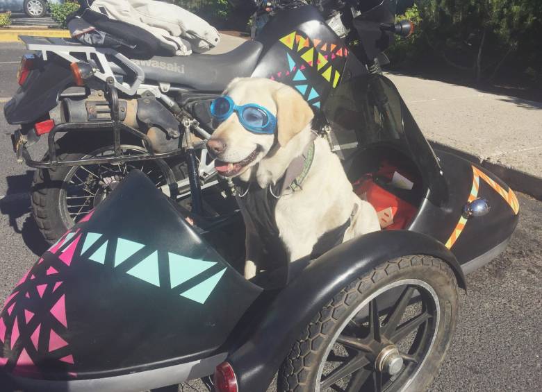 Baylor se adaptó fácilmente al “sidecar” de la motocicleta y siempre va con sus gafas para proteger sus ojos. FOTO Cortesía http://mallorypaige.com/