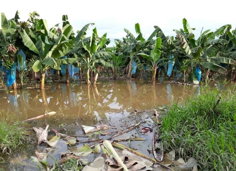 Más de 300 familias afectadas por invierno en Urabá