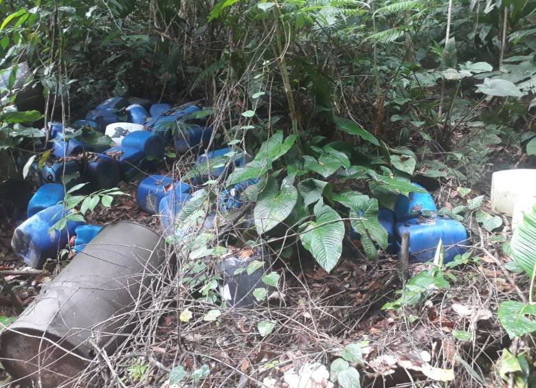 “Martín”, el perro que evitó una tragedia en Tarazá