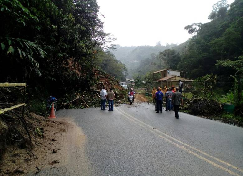 Aspecto del derrumbe. FOTO Guardianes Antioquia y Amagá Somos Todos