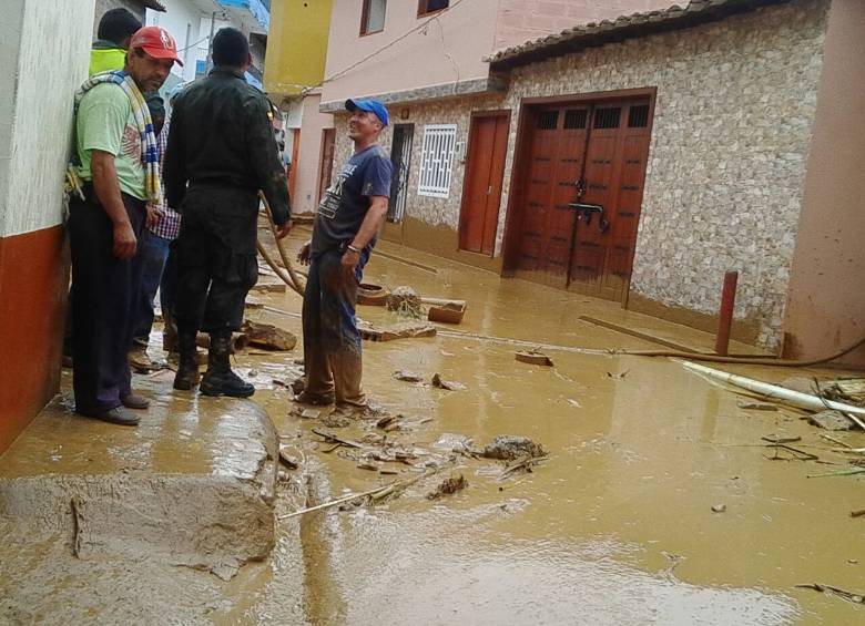 Fotos: cortesía Dapard