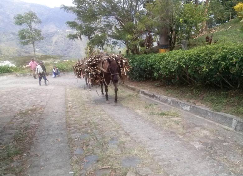 Palmitas se divide por sus caminos ancestrales