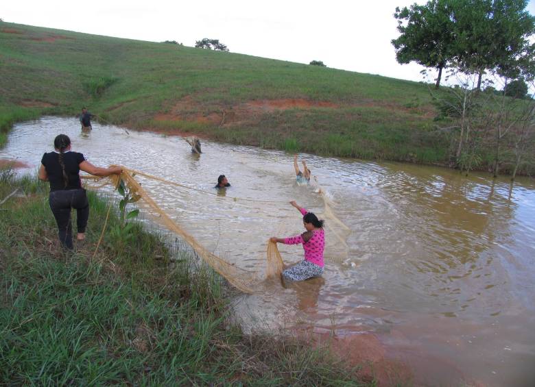 La foto superior muestra el aspecto que presenta una vasta zona del Bajo Cauca por la explotación sin control ambiental de minas de aluvión. En la inferior, uno de los pozos de Puerto Jobo. FOTOS Donaldo Zuluaga, Rodrigo Martínez