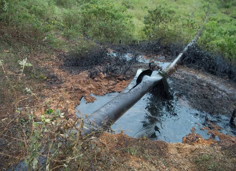 FOTO ARCHIVO COLPRENSA