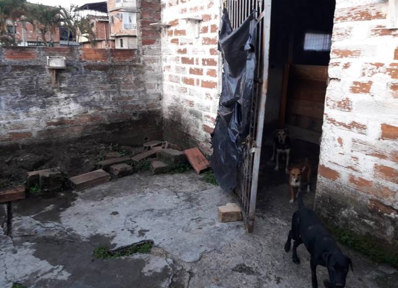 Las humedades y malas condiciones del inmueble requieren intervención para seguir operando. FOTOS CORTESIA