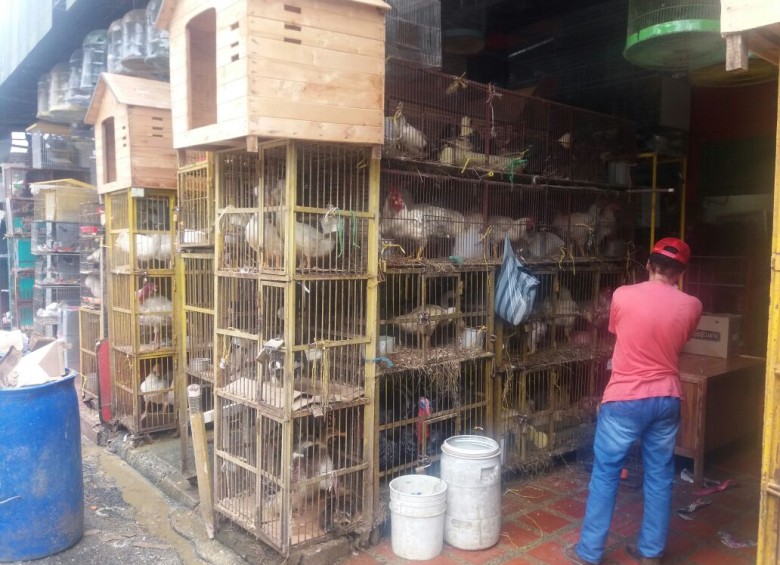 $!Operativos en la Plaza Minorista contra venta informal de animales