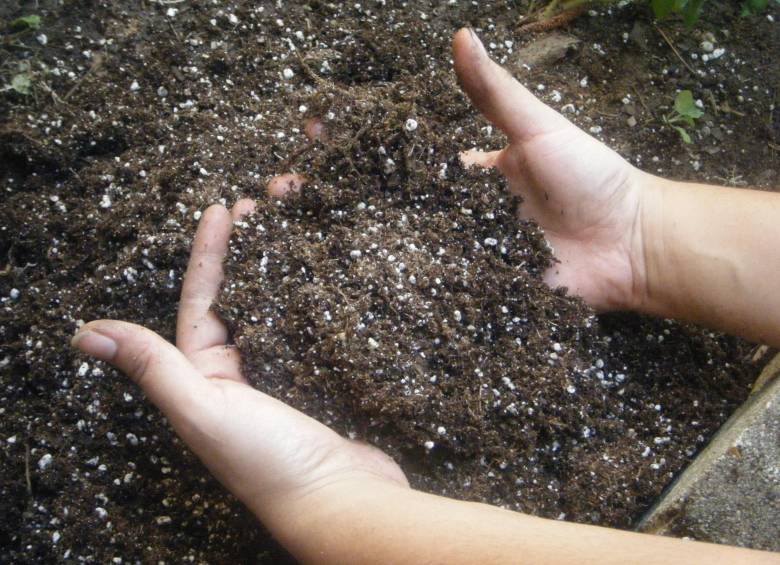Entre 2 % y 19 % de toda la biomasa del planeta lo componen microorganismos, que controlan con sus reacciones los ciclos biogeoquímicos. En el suelo abundan. FOTO Cortesía M. Tullottes