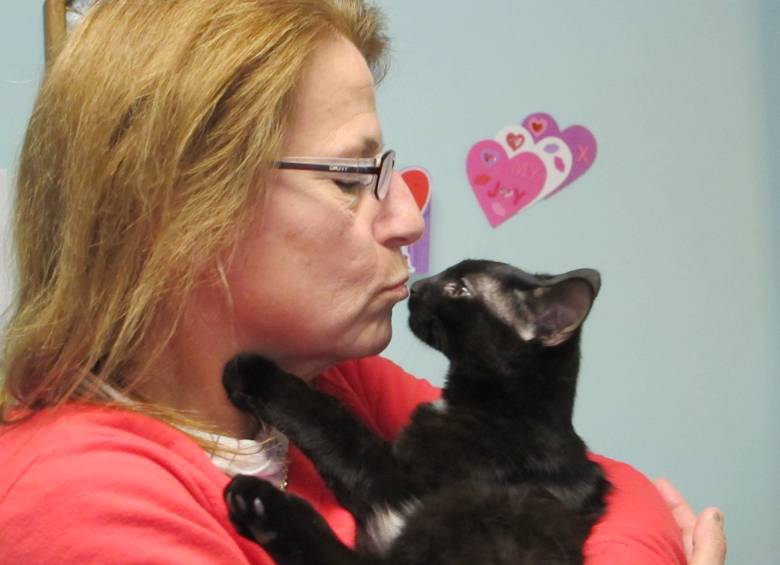Debbie Grondin, una madre sustituta de estos felinos, besa a Peyton, un gato negro, en Lacey Township, Nueva Jersey. Los gatos negros son los más difíciles de dar en adopción debido a la superstición de algunas personas. FOTO AP