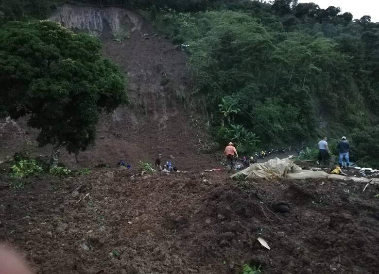 FOTO: COLPRENSA