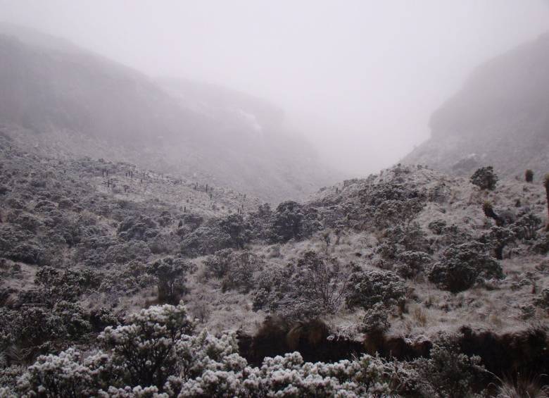 Volvió a caer nieve en el Parque Nacional Los Nevados