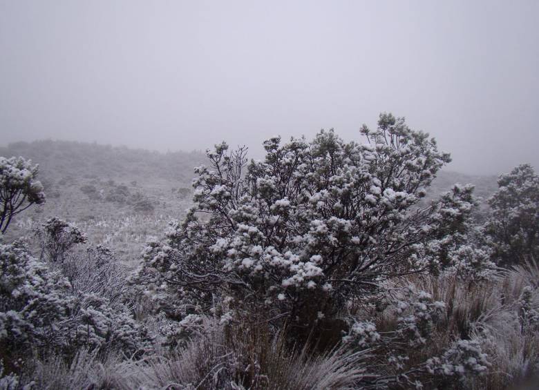 Volvió a caer nieve en el Parque Nacional Los Nevados