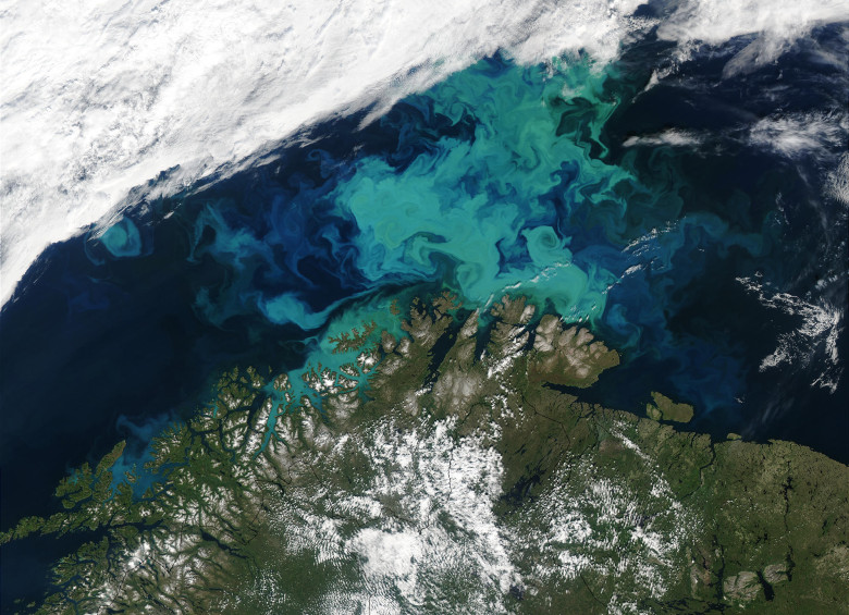 Parte del mar de Barents visto desde un satélite de la Nasa, entre nubes. De verde, al centro, un florecimiento de fitoplancton. FOTO Nasa/Aqua