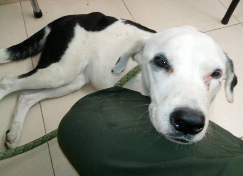 FOTO facebook.com/alejandro.s.nino