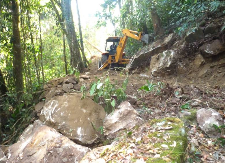 La denuncia fue hecha por la Fundación ProAves la cual dio a conocer que máquinas excavadoras abren caminos, en comprensión rural del corregimiento de Minca. FOTO CORTESÍA