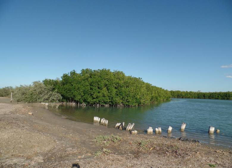 Con declaratoria, en Portete se sana el abandono