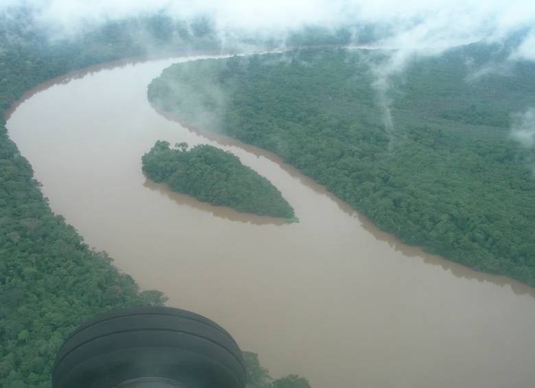 FOTO Fragments of extinction