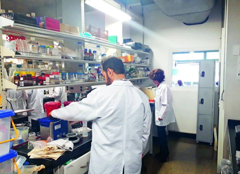 A pesar de que aún es una investigación preclínica que no ha sido aplicada en humanos, los investigadores confían en encontrar la cura contra estas enfermedades con esta investigación. FOTO cortesía facultad de medicina de la u. de antioquia