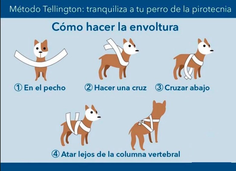 Así es el método Tellington Ttouch. Solo con telas puede proteger a su perro para que no sufra con la pólvora. Foto: Scoopnest