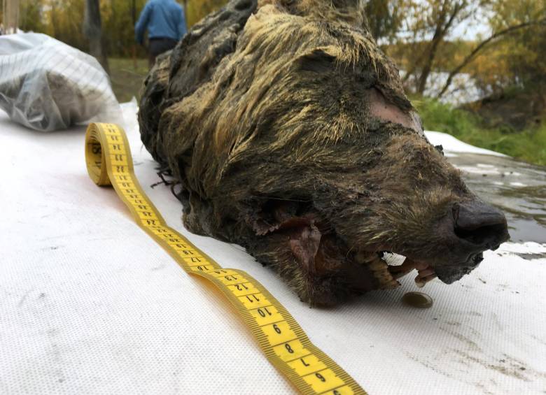 FOTO REUTERS