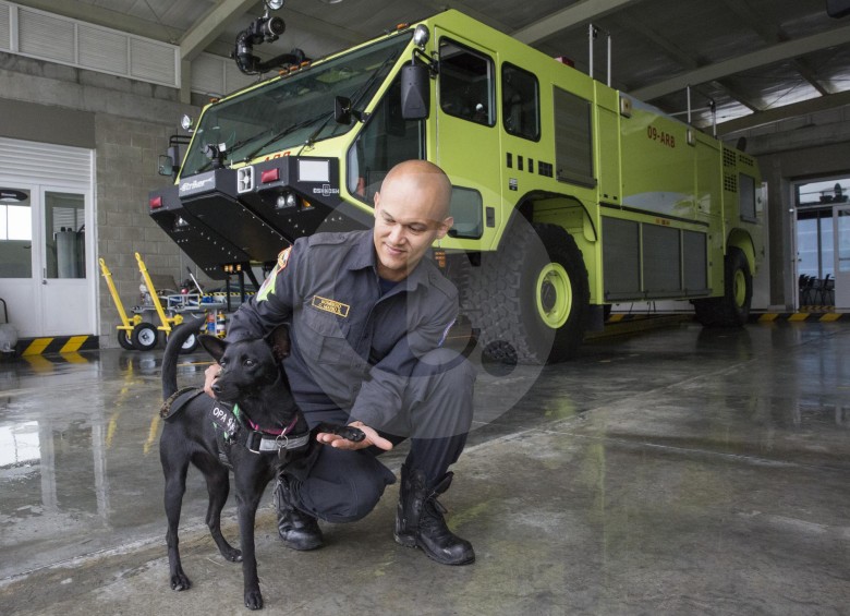 Oficiales Carlos Mario Bedoya Gutierrez y María Andrea Candela Solano con la perrita Séneca. FOTOS edwin bustamante Y CORTESÍA