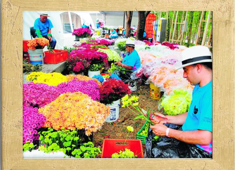 Gigantes de flores están de carnaval por Colombia