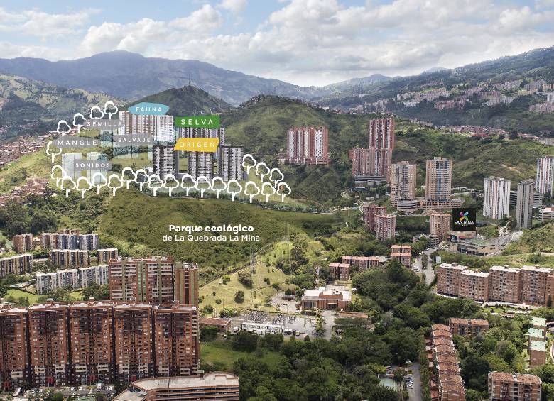 Área en la que se llevará a cabo la construcción de la Reserva Serrat. FOTO: CORTESÍA