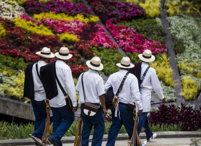 La Alcaldía de Medellín les comprará a los silleteros las flores que tenían listas y con ellas harán silletas en honor a los médicos. FOTO Julio Herrera
