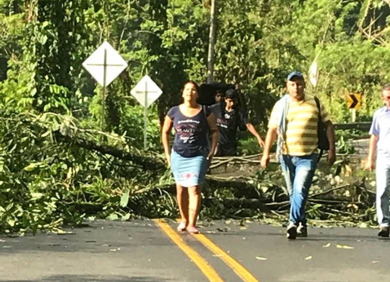 Habilitada vía a Urabá tras protestas