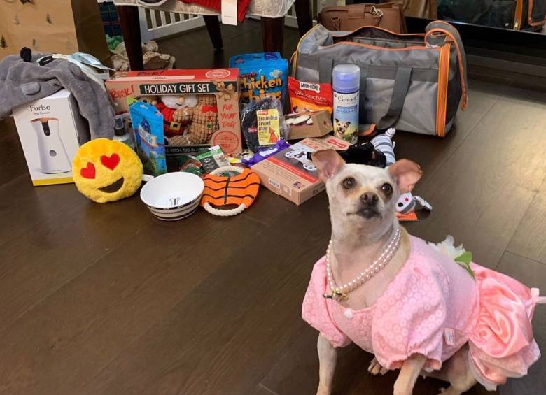 La ostentosa fiesta de la mascota del hijo de Sofía Vergara