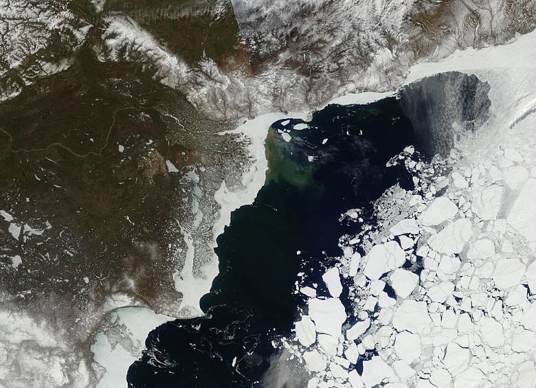 Pie de foto: esta imagen, del 21 de mayo de este año, muestra la fragmentación del hielo en el mar de Beaufort, un sector del océano Ártico. Foto: cortesía sistema Lance / Nasa / Gfsc