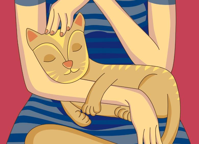 ILUSTRACIÓN SSTOCK