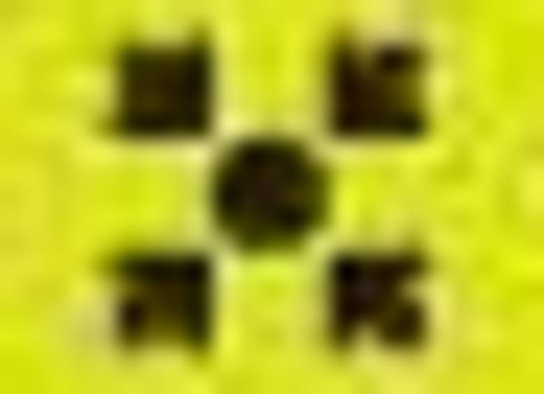 Así se prepara un caballo de exposición