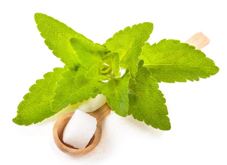 La stevia natural es mejor que el azúcar y los edulcorantes. FOTO Shutterstock