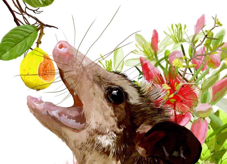 Campaña local creada por el Parque Explora en la que animales rechazados por su apariencia, como las cucarachas y las chuchas, se mostraron de otra manera a través del cine, la literatura y el arte.