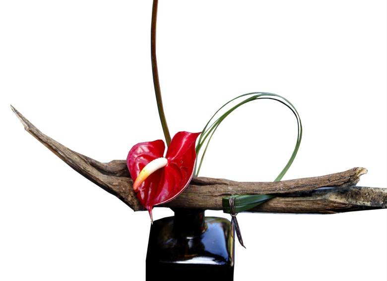 Una flor para llevar la Feria a casa