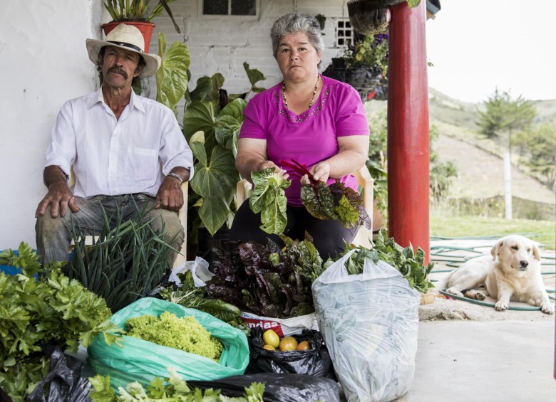 Antonio Castro y su esposa Luz Elena López, son uno de los 25 productores vinculados a SiembraViva. FOTOS EMANUEL ZERBOS