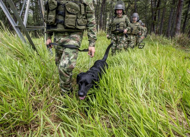 Imagen de referencia sobre el Ejército Nacional. Foto Juan Antonio Sánchez