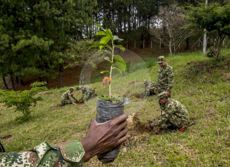 El Ejército Nacional fue uno de los grandes dinamizadores de la sembratón, al realizar actividades en varios departamentos. En Antioquia sembró 4.000 árboles. FOTO juan antonio sánchez