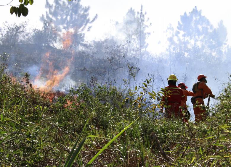 Según indican las primeras versiones, el incendio se inició por la quema indiscriminada para la ampliación de zonas para la agricultura y la ganadería. FOTO Róbinson Sáenz